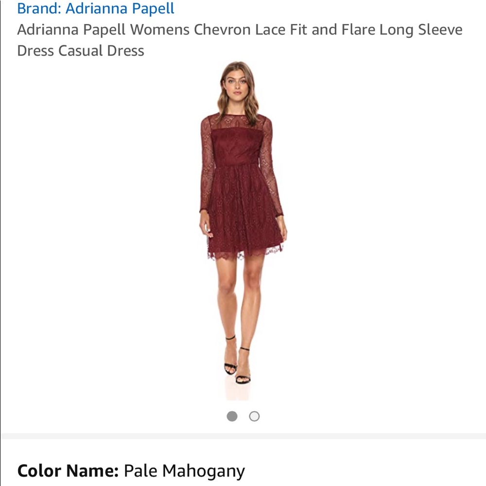 BNWTAdrianna Papell Lace Fit and Flare Long Sleeve